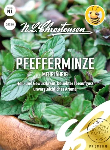 Chrestensen Pfefferminze Samen