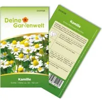 Deine Gartenwelt Kamille Samen