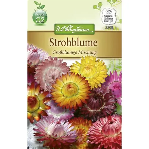 Chrestensen Strohblume 'Großblumige Mischung'