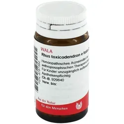 Rhus Tox. E Fol. D12 Globuli