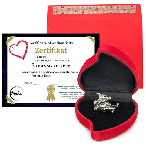 Makai Edelstein Eisenmeteorit Sternschnuppe - echter Meteorit, ca. 15g - Deko-Objekte, einzigartiger echter Meteorit in Herzbox mit Liebeszertifikat, perfekt als romantisches Geschenk.