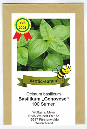 Ocimum basilicum - Basilikum