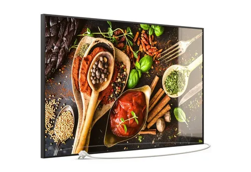 STEINFELD Heizsysteme Infrarotheizung, Glas Bild 350W-1200W, Inklusive Thermostat, 019 Gewürze