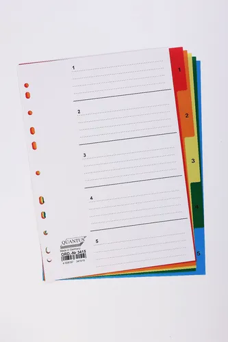 Register PP 5-teilig Bunt 50 x