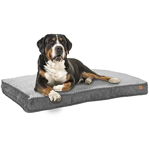 Hundebett Happy Dreams XL 120 x 78 cm - Waschbar & Rutschfest von ib style® - Das ib style® Happy Dreams Hundebett bietet Ihrem Vierbeiner einen gemütlichen Rückzugsort. Mit pflegeleichtem Bezug und herausnehmbarem Kissen ist es ideal für den täglichen Gebrauch und unterwegs.