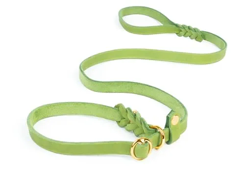 CopcoPet Retrieverleine mit Zugstopp für kleine Hunde – 1,20m x 10mm Moxonleine in Apfelgrün – Fettlederleine & Agilityleine aus Leder – stufenlos verstellbar, Handarbeit, Messing, wetterfest