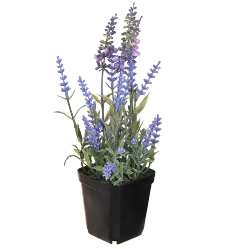 Künstlicher Lavendel 25cm im Topf – Deko Kunstpflanze - Hübsche, blühende Kunstpflanze im Landhausstil, ideal für frühlingshafte Deko. Mit einer Höhe von 25cm bringt sie Farbe und Freude in Ihr Zuhause.