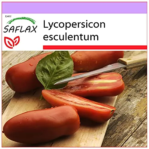 SAFLAX - Tomate - San Marzano - 10 Samen - Lycopersicon esculentum