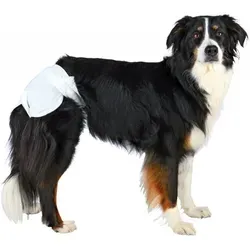Hundewindeln von Trixie