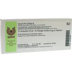 Produktbild Iscucin Pini Stärke G 10 ML