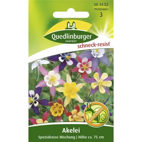Akelei, Spezialrasse Mischung von Quedlinburger