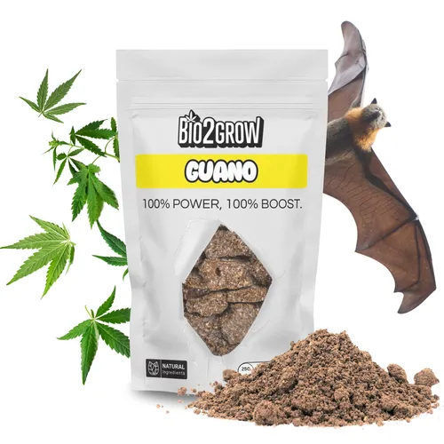 Bio2grow Guano 1 KG – Naturdünger mit Stickstoff und Phosphor für Bodenverbesserung und Nährstoffversorgung