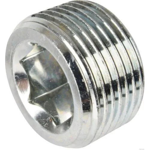 Herth+buss Elparts Verschlussschraube, Getriebegehäuse 50240024