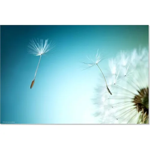 Cover-your-desk Schreibtischunterlage Pusteblume 60 x 40 cm - Schreibwaren: Hochwertige Schreibtischunterlage aus 1,6mm dickem Vinyl, schützt vor Kratzern und Verschmutzungen, ideal für Kinder und Erwachsene.