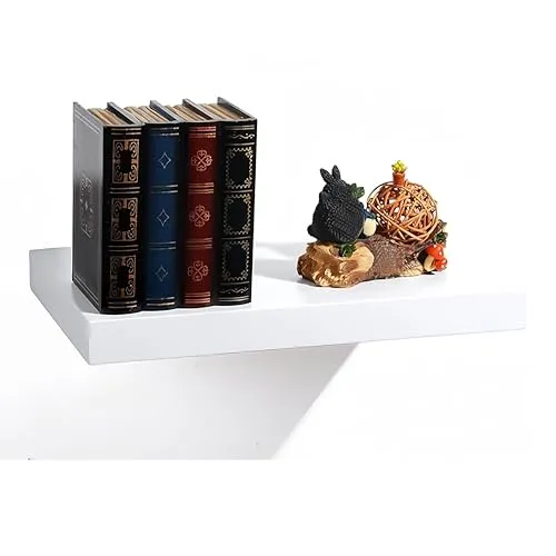 EUGAD Wandregal Weiß 25cm, Wandboard Regalbrett mit Versteckten Haltern, für Wohnzimmer, Schlafzimmer, Küche & Büro, 0078QJ