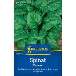 Kiepenkerl Spinat Matador