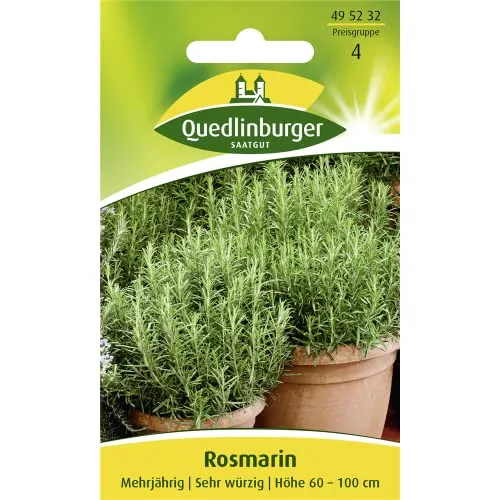 Rosmarin, Rosmarinus officinalis, ca. 50 Samen