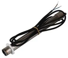 Carbest CampingStar Wasserheizstab 12V, 75W