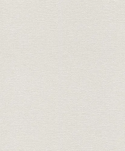Rasch Tapeten Vliestapete (universell) Grau 10,05 m x 0,53 m Tapetenwechsel 804539
