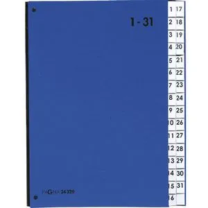 Pagna 24329-02 Color Pultordner 1-31, 32 Fächer A4