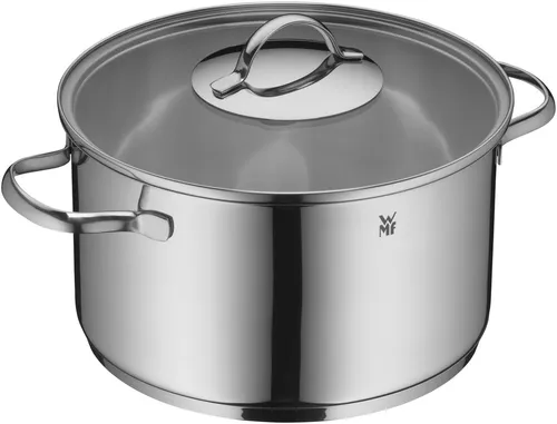 WMF Aparto Kochtopf groß 24cm mit Glasdeckel - Kochtopf für alle Herdarten, inkl. Induktion. Hergestellt aus hochglanzpoliertem Cromargan Edelstahl, hitzebeständig und energiesparend durch TransTherm-Allherdboden.