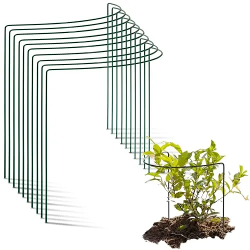 Novatool 10 Strauchstütze halbrund 40 cm - Rankstäbe für optimale Pflanzenstütze, wetterfest und stabil – ideal für schwere Blüten wie Rosen oder Pfingstrosen.