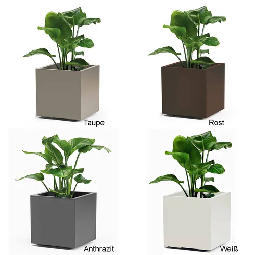 Euro 3 Plast Kiste Kebe - Anthrazit mit Wasserspeicher - Garten-Zubehör für Blumen und Pflanzen, modernes Design mit integriertem Wasserspeicher für optimale Bewässerung.