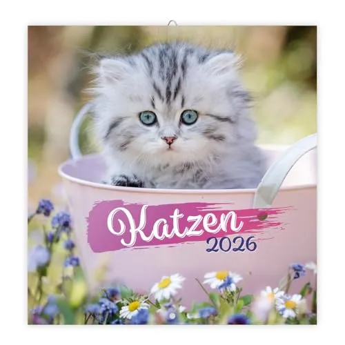 Trötsch Broschürenkalender Katzen 2026: Wandplaner von TROTSCH
