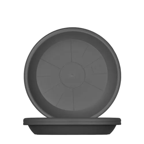 BigDean Blumentopfuntersetzer 3-tlg. rund, anthrazit von BigDean