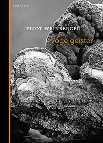 Vogelgeister: Essays über die Magie der Vögel