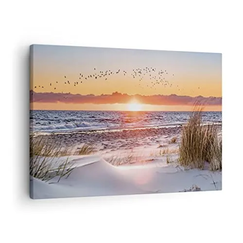 Bilder auf Leinwand Sonne Strand Vögel Leinwandbild mit Rahmen 70x50cm Wandbilder Dekoration Wohnzimmer Schlafzimmer Küche Deko Klein Wanddeko Bild Wand Kunstdruck Art Wall Decor Canvas AA70x50-4727