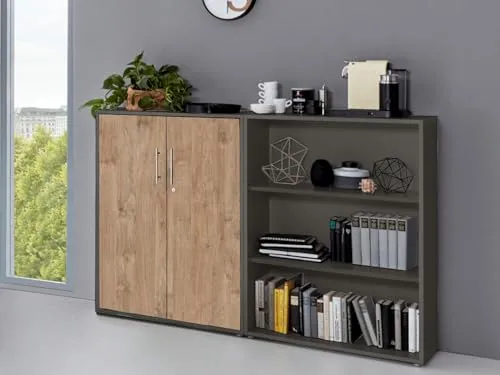 Aktenschrank Anthrazit Gold Harbor Oak von BMG Möbel