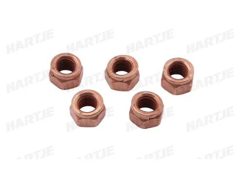 Dresselhaus Nutmutter Thermag Nutmuttern 6-kant M8x12 5 Stk.