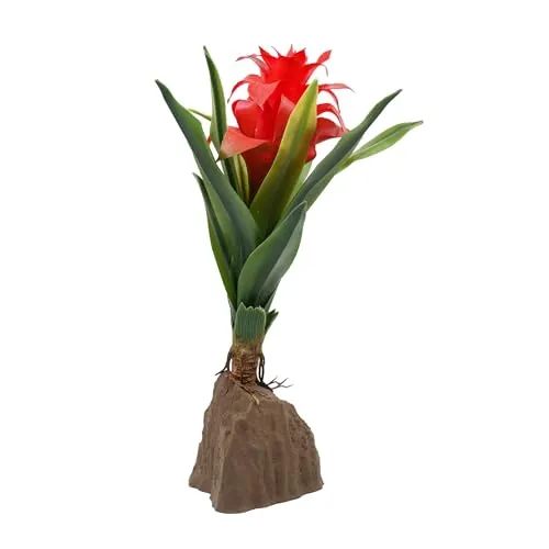 Lucky Reptile Bromelie groß rot