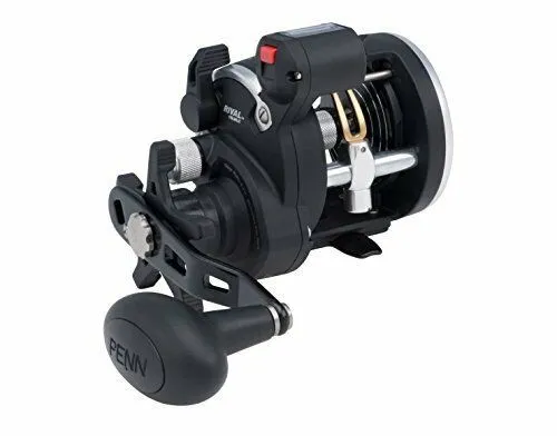 PENN Rival 15 Level Wind LC Reel - Multirolle für Norwegen - Angelrolle mit leichtem Graphitrahmen, bronze Hauptantriebsrädern und HT-100 Carbon Bremsscheiben für optimale Leistung beim Angeln in Norwegen.