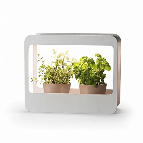 Produktbild Romberg Home Garden Mini Gewächshaus mit LED Pflanzenlampe