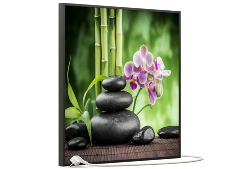STEINFELD Heizsysteme Infrarotheizung, Bild, 350W 60x60cm, Inklusive Thermostat, viele Motive