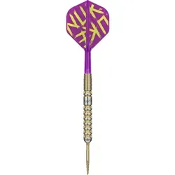 Target Dartpfeile Luke Littler GEN1 Prodigy – 22g Steeldarts - Darts für Profis mit 90% Wolfram für höchste Präzision. Inkl. Aufbewahrungsbox und Schlüsselanhänger. Ideal für Sisal-Dartscheiben und ausgestattet mit innovativem Swiss-Point-System für schnellen Spitzenwechsel.