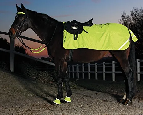 REFLEX Nierendecke aus Fleece - Pferdebedarf mit wasserfester Außenseite und feuchtigkeitsabsorbierender Fleece-Innenseite für optimalen Komfort und Schutz.