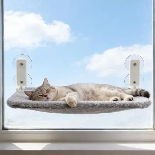 Katzen Fensterliege