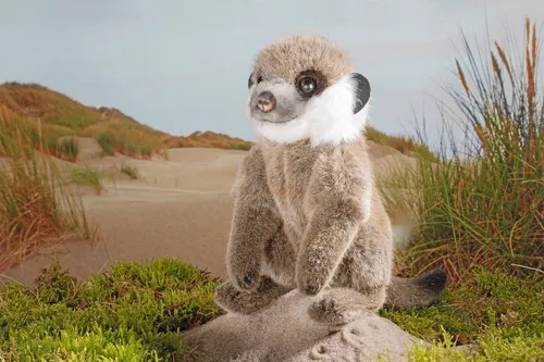 KÖSEN Stofftier Erdmännchenbaby 21 cm - Dschungel & Steppe, hochwertiges Webfell für besonders weichen Kuschelkomfort, perfekt für kleine Tierfreunde.
