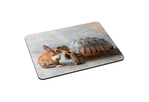 PEDEA Gaming Mauspad 22 cm x 18 cm mit Motiv (Größe L), mit vernähten Rändern und Rutschfester Unterseite