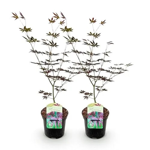 GreenboutiQ von Green boutiQ