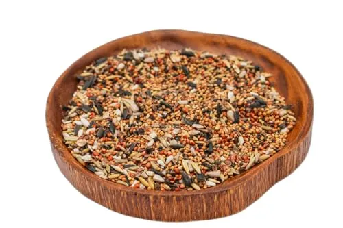 Anhaltiner Waldvogelfutter 1 kg Premiumfutter Ergänzungsfutter für freilebende Vögel Wildvogelfutter Streufutter Ganzjahresfutter