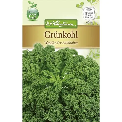 Grünkohl 'Westländer halbhoher' für den Winteranbau