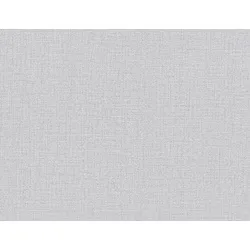 Vliestapete Uni Hellgrau - 1,005.00 x 53.00 cm