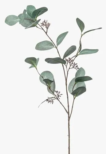 artplants.de Unechter Eukalyptus Zweig Maxen mit Früchten, grün-grau, 75cm - Kunststoff Zweig