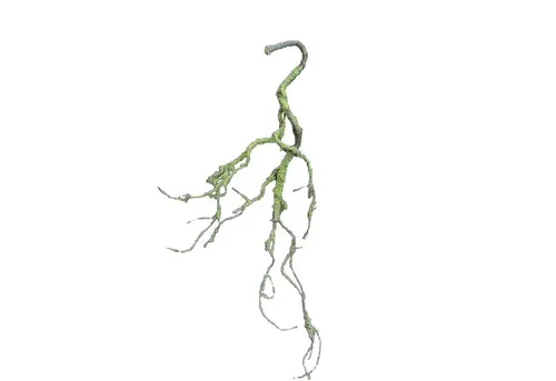 Kränze & Girlanden Grün von HTI-Line