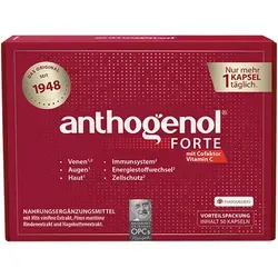 Anthogenol Forte Masquelier Original OPC 50 St - Arzneimittel mit antioxidativen Eigenschaften, fördert die Gesundheit der Blutgefäße und ist rezeptfrei erhältlich.