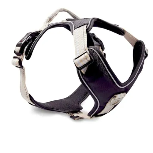 Wolters Geschirr Active Pro, Größe:55-65 cm, Farbe:Champagner/schwarz